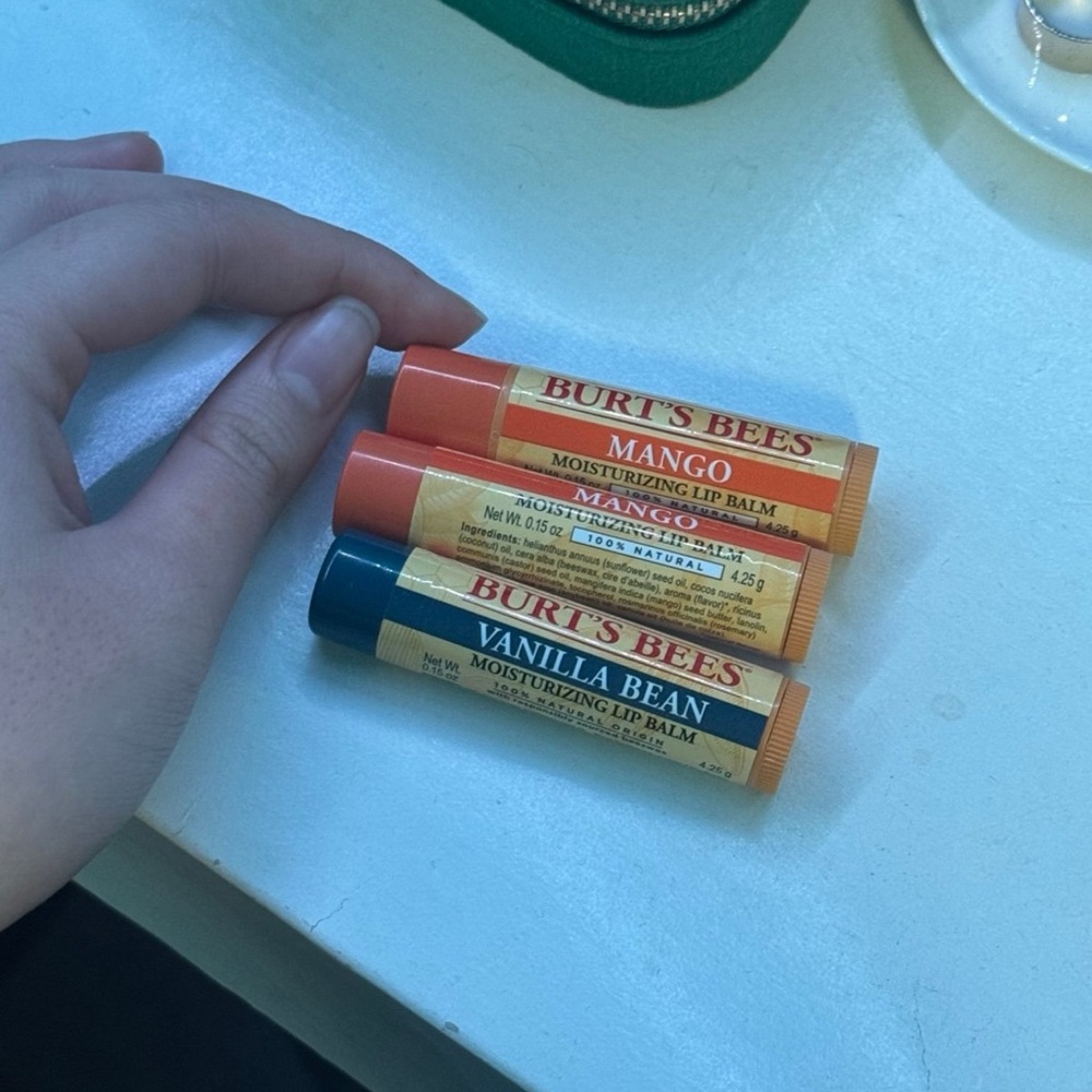 Burt’s Bees Chap Stick (3)
